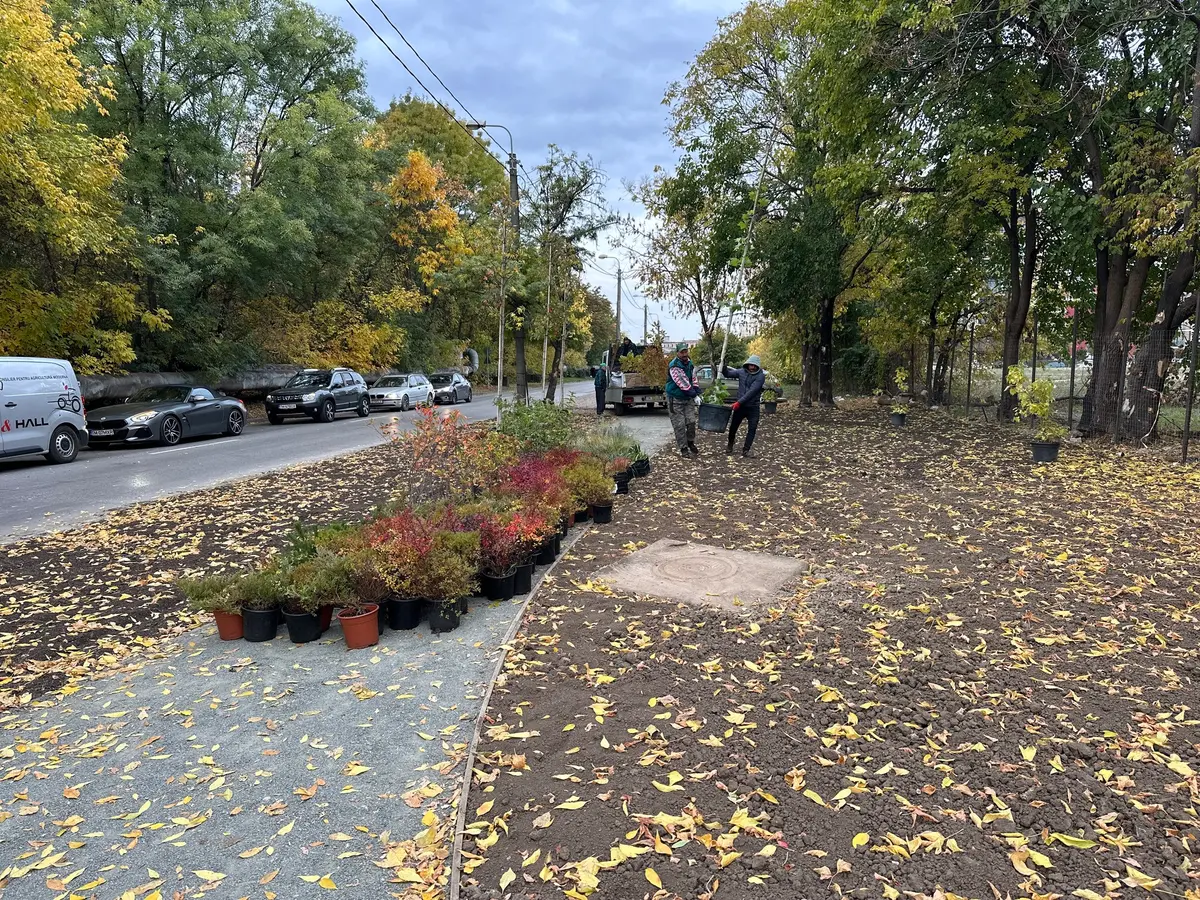 Mini parc și trotuar în locul fostei pizzerii Poli, construită ilegal