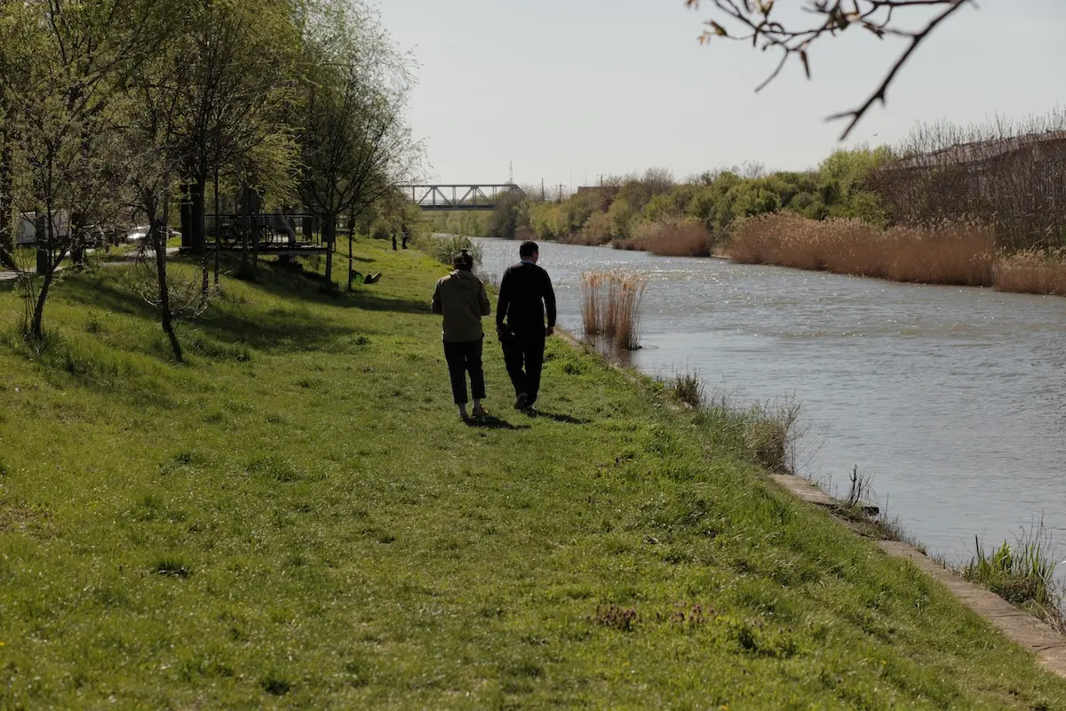 „Teren comun – peisaje pe Bega”: proiect interdisciplinar despre cum coexistă orașul cu natura