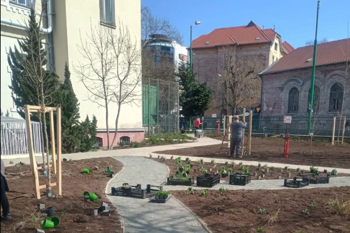 Un colț de liniște în fața Spitalului de Copii: Horticultura reamenajează parcul pentru pacienți și familii