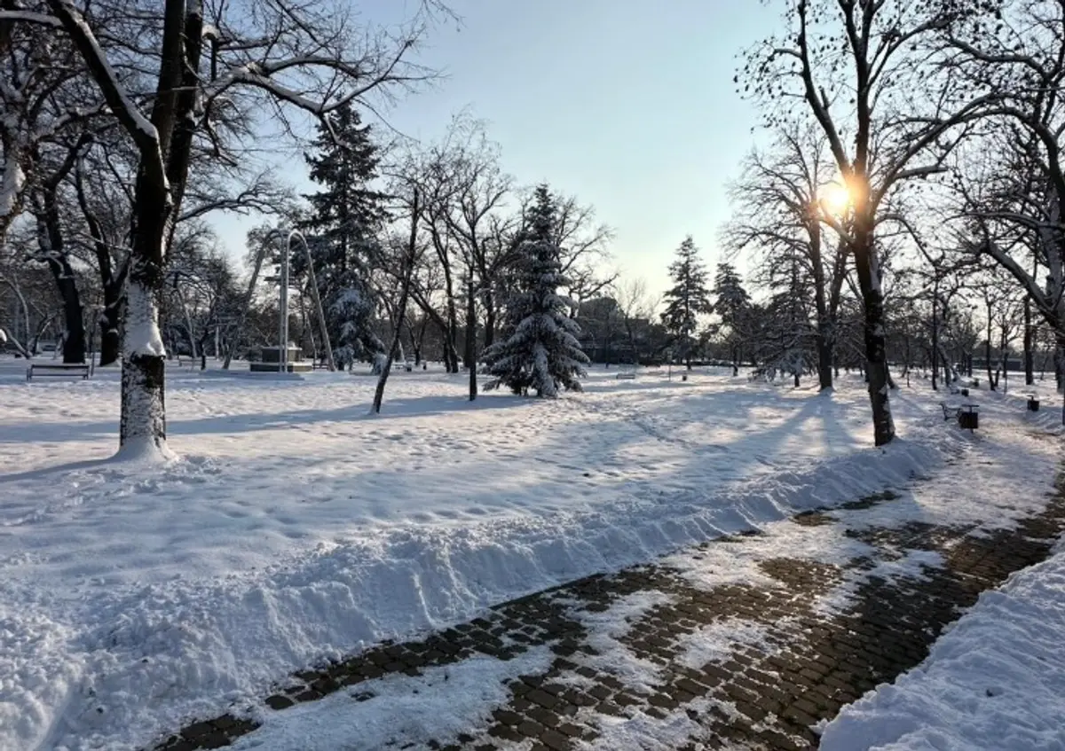 Horticultura Timișoara curăță aleile din principalele parcuri, pentru siguranța pietonilor