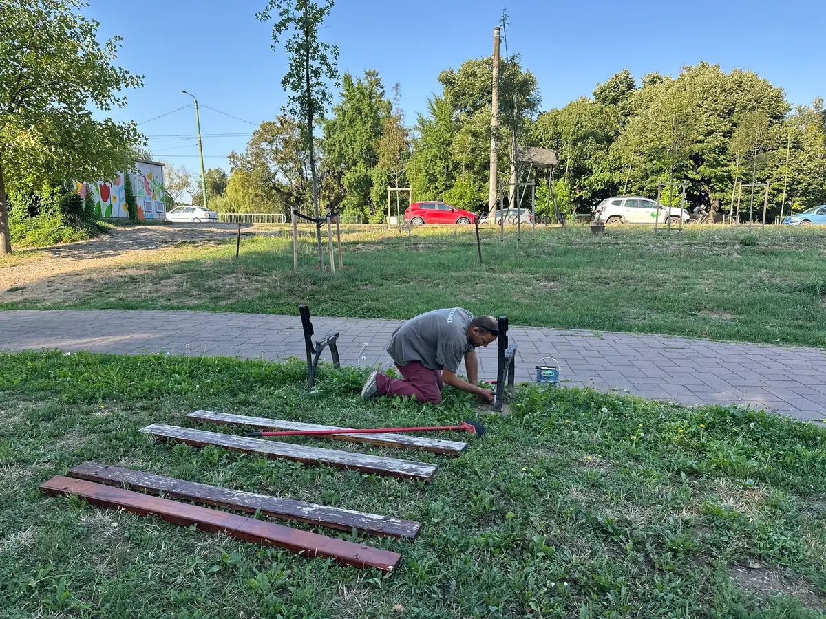 Horticultura Timișoara: lucrări extinse de întreținere a spațiilor verzi în zona centrală