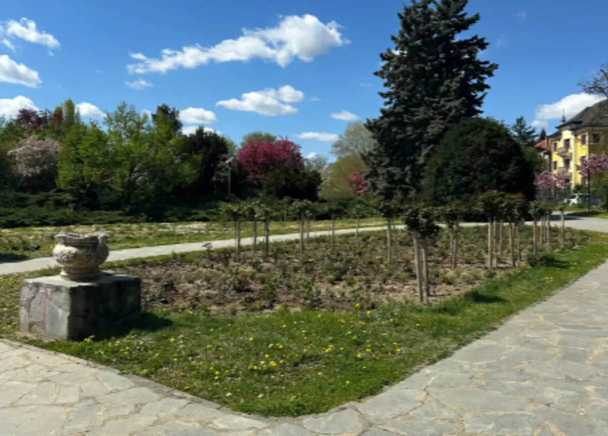 Parcul Rozelor se pregătește să redevină atracția Timișoarei: 2.600 de trandafiri noi și pergole înlocuite