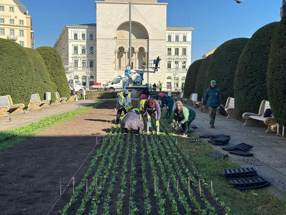 Centrul Timișoarei se pregătește de o nouă explozie de culoare