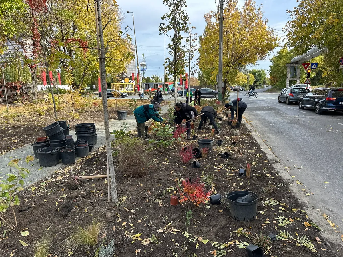 Mini parc și trotuar în locul fostei pizzerii Poli, construită ilegal