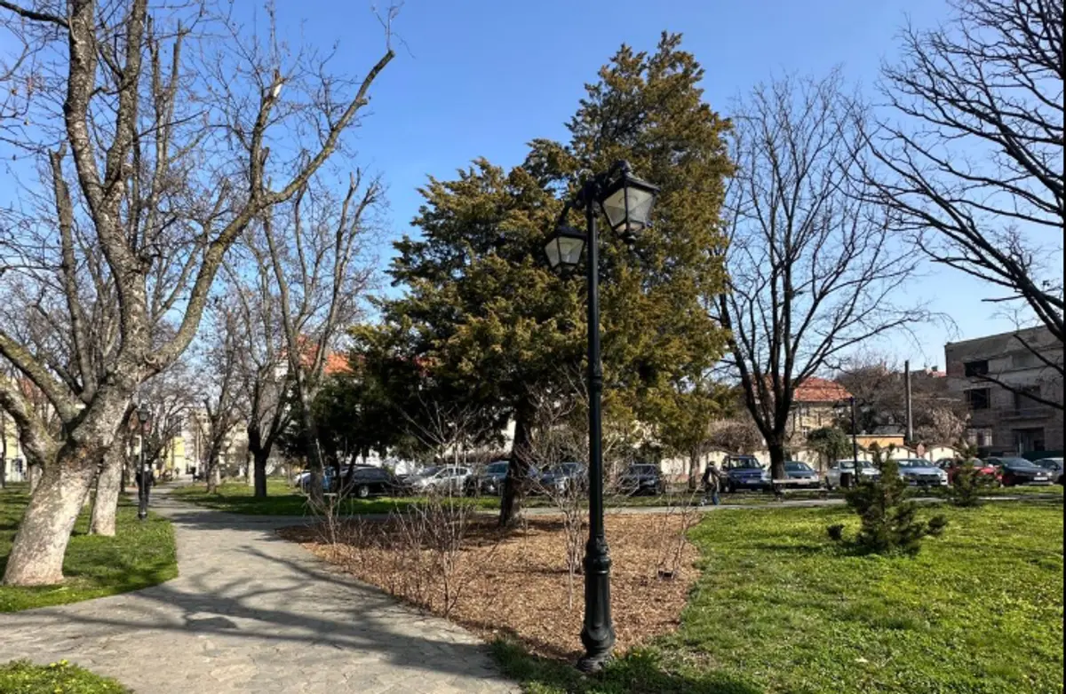 Parcul Cetate din centrul Timișoarei, reamenajat de echipele Horticultura