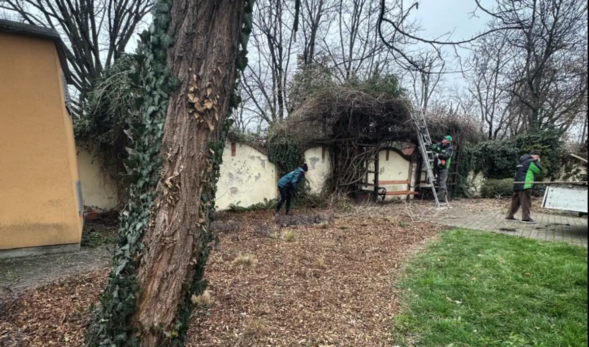 Horticultura pregătește o surpriză pentru viitorii miri, la Casa Căsătoriilor din Timișoara