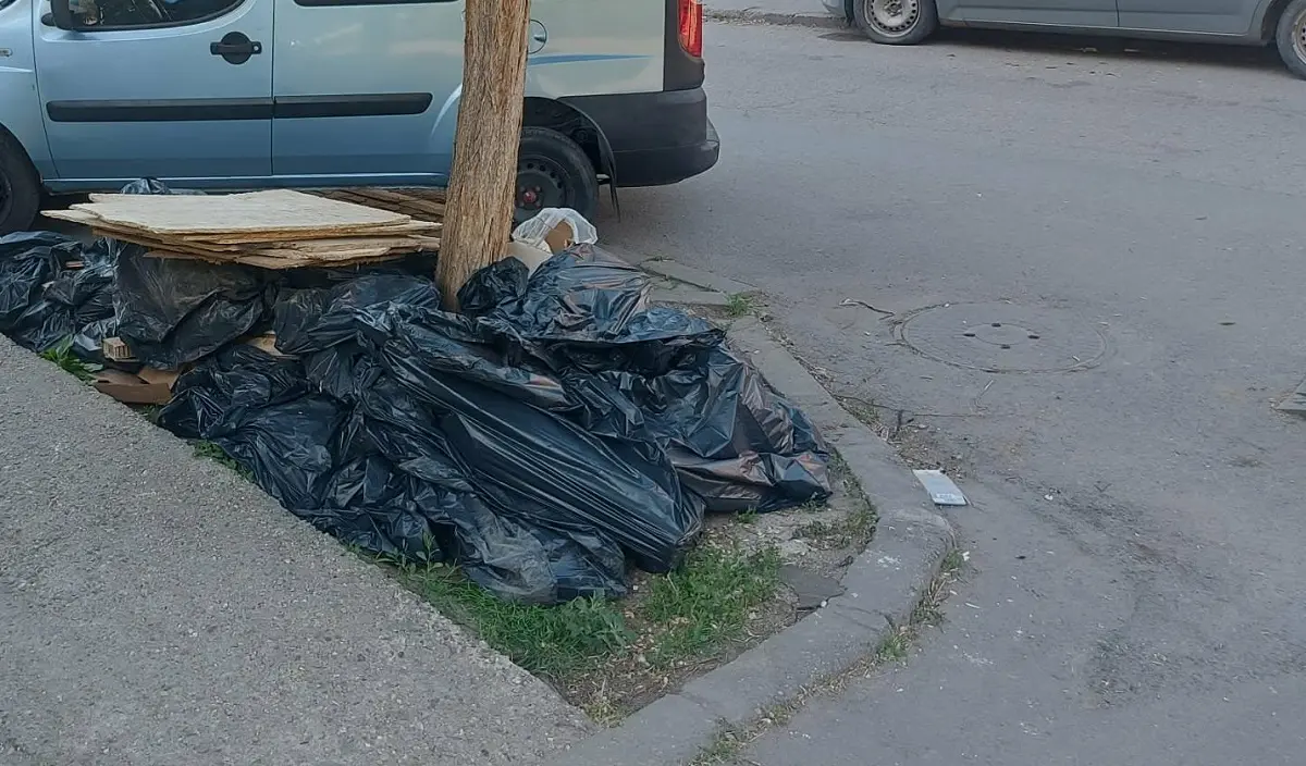 Amendă uriașă primită de un bărbat care a aruncat saci cu gunoaie pe o stradă din Timișoara