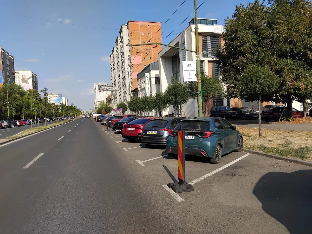 SaluT începe curățenia de toamnă pe două străzi din Timișoara. Parcarea va fi interzisă temporar