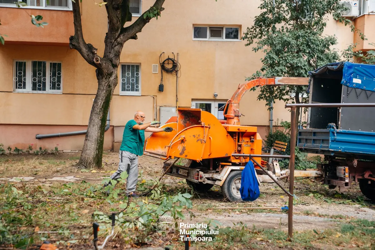 Spațiile verzi dintre blocuri, mai curate după o nouă acțiune masivă de curățenie