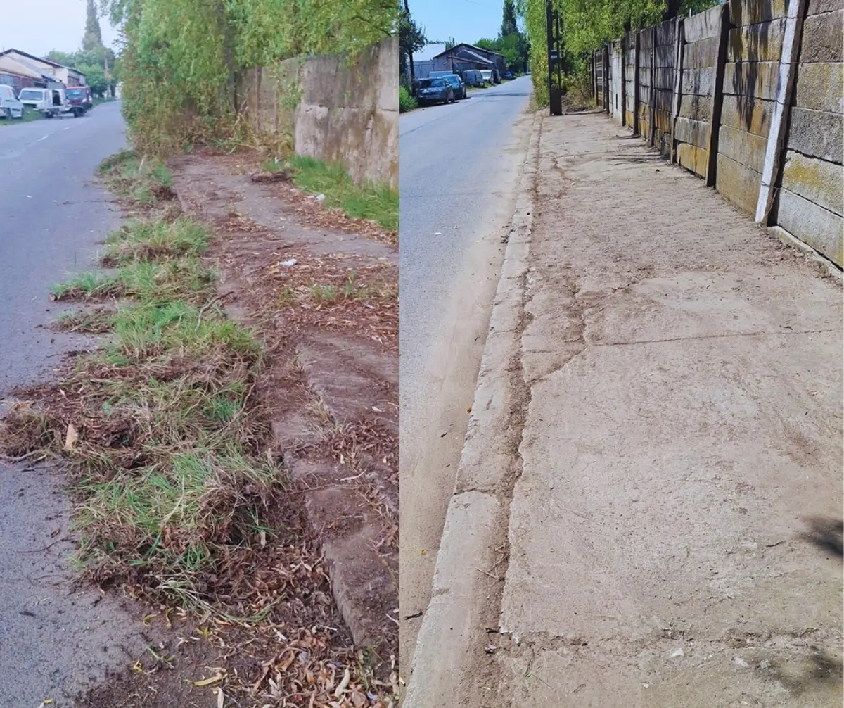 Compania de salubrizare a Timișoarei se ocupă și de „arheologie”. Trotuare și străzi descoperite sub mormane de gunoi și vegetație