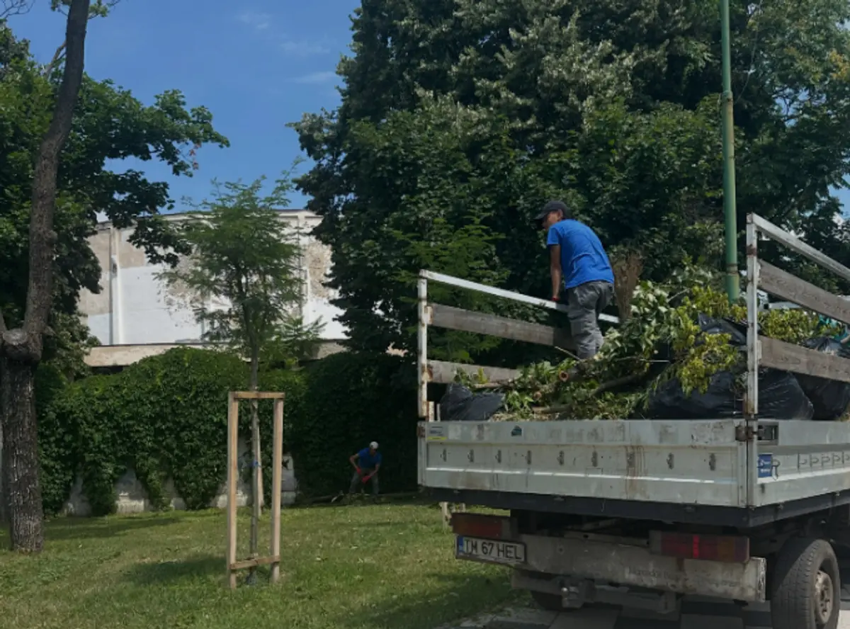 Horticultura: lucrările de întreținere a spațiilor verzi continuă zilnic în Timișoara