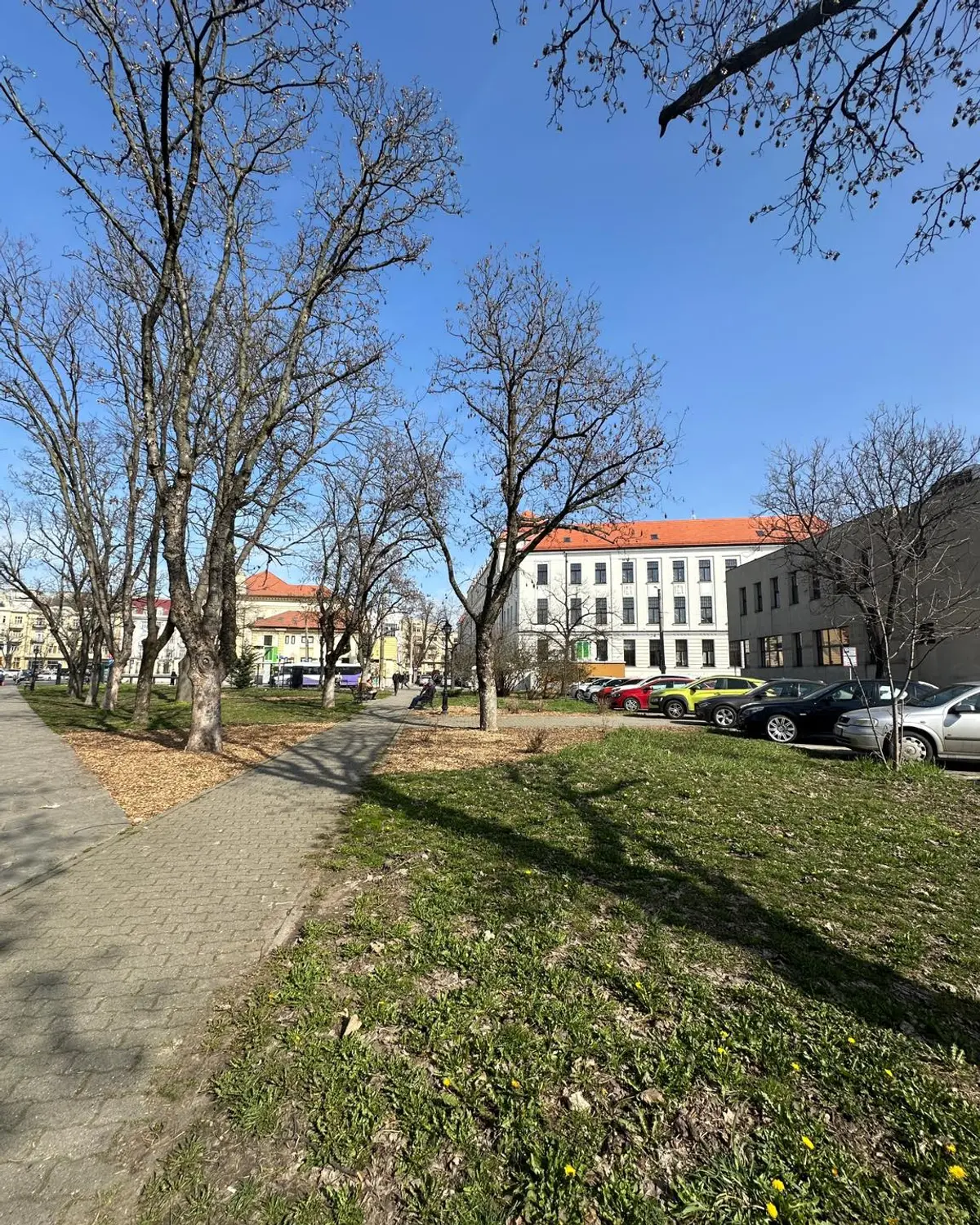 Parcul Cetate din centrul Timișoarei, reamenajat de echipele Horticultura