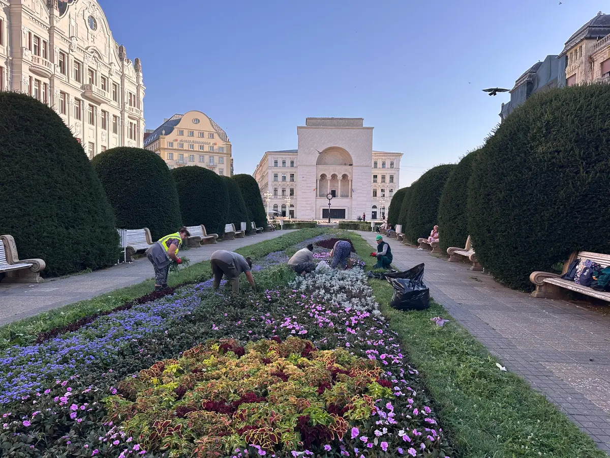 Horticultura face angajări pentru întreținerea spațiilor verzi din Timișoara