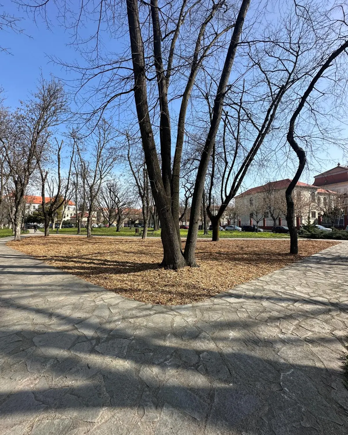 Parcul Cetate din centrul Timișoarei, reamenajat de echipele Horticultura