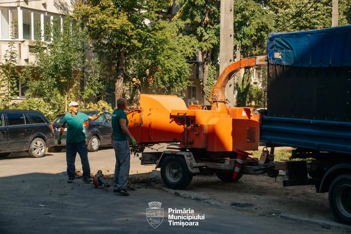Curățenie generală pe spațiile verzi din zonele Circumvalațiunii și Odobescu