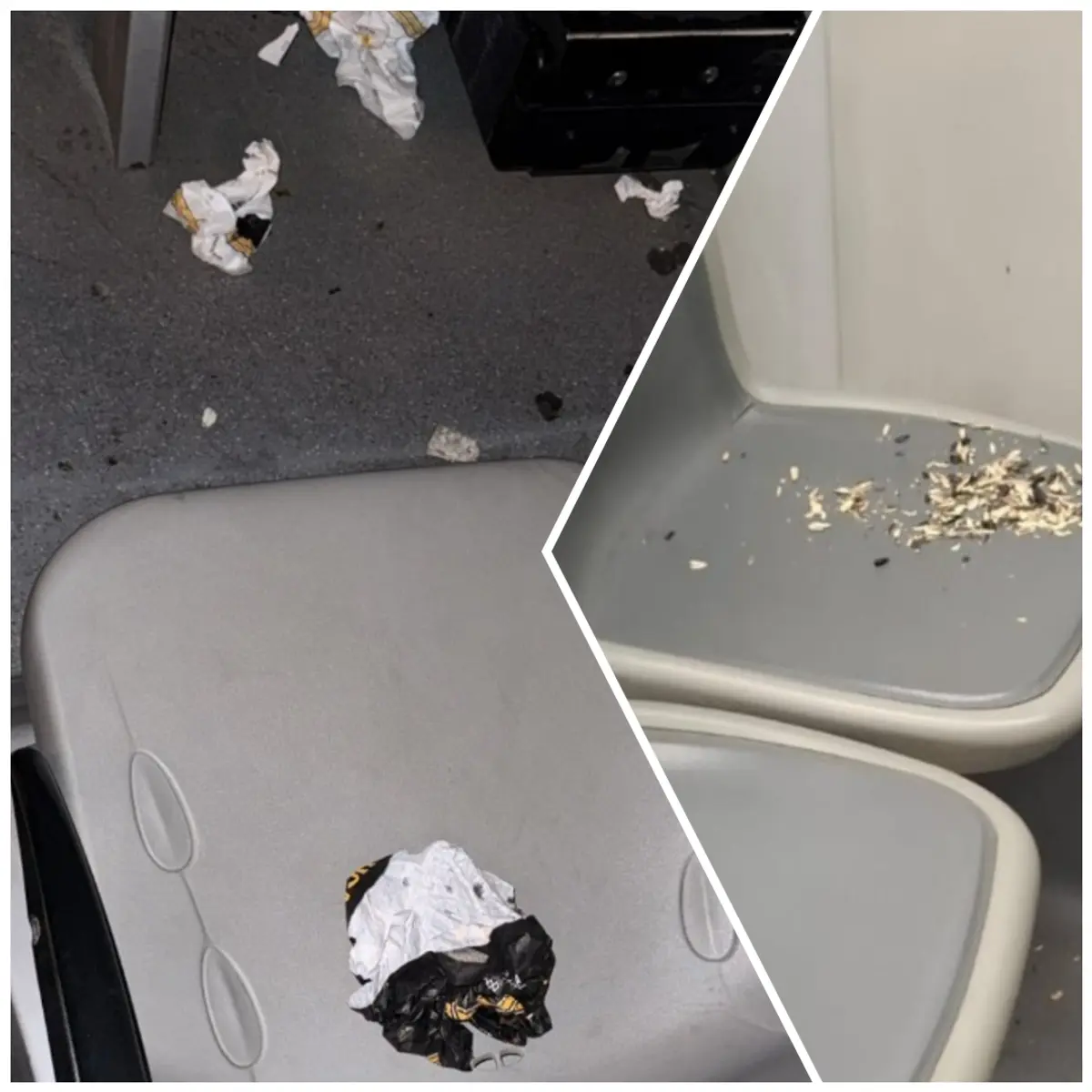 FOTO | Ce mai aruncă pasagerii în mijloacele de transport în comun din Timișoara