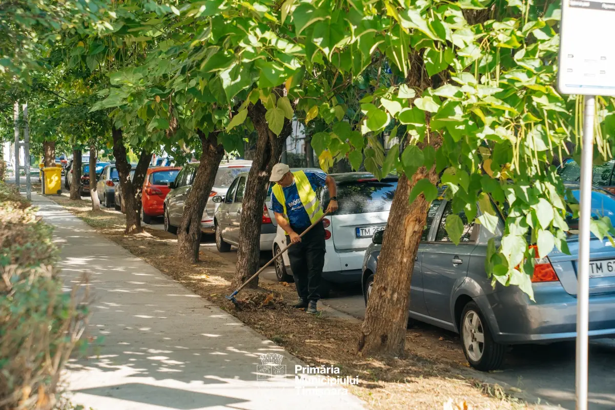 FOTO | Curățenie generală pe spațiile verzi din zonele Circumvalațiunii și Odobescu