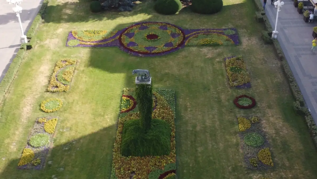 66.500 de flori transformă Piața Victoriei. Horticultura a creat unul dintre cele mai spectaculoase covoare florale din România