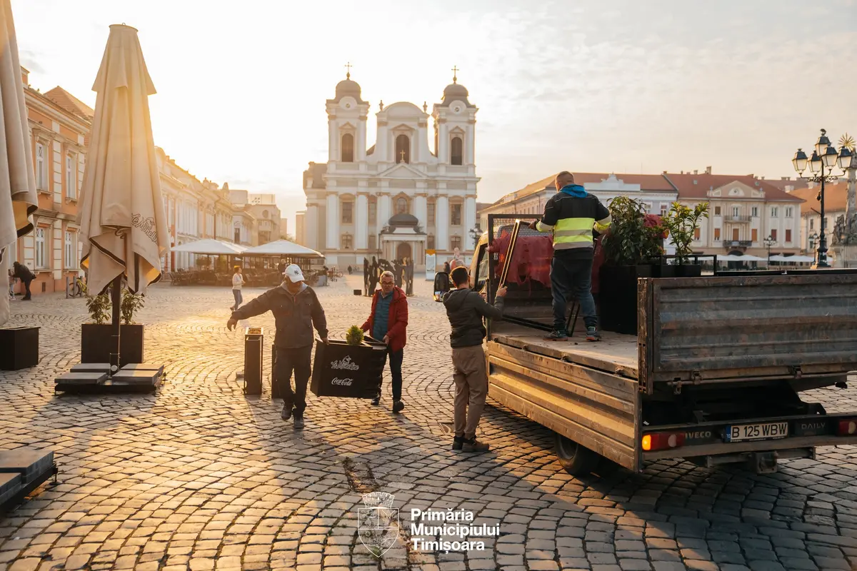 Primăria Timișoara a ridicat trei terase ilegale. Unul dintre proprietari este sancționat a doua oară