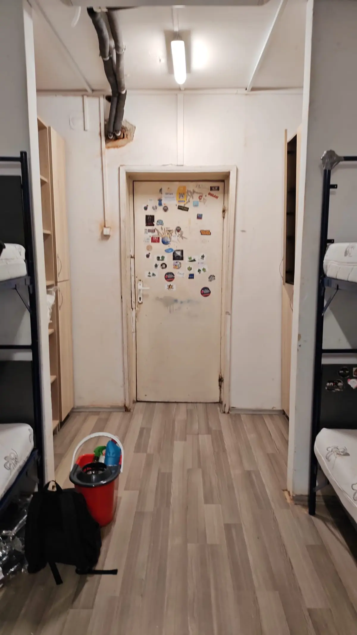 Șobolanii se plimbă pe mese într-un cămin al Universității de Vest din Timișoara. Rectorul Pirtea e ocupat cu alte treburi