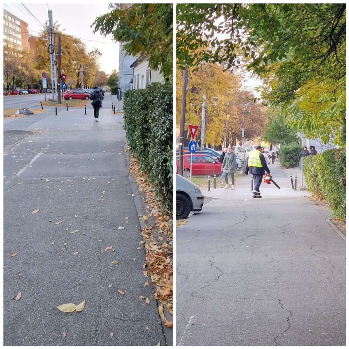 Lună și bec în Calea Șagului. SaluT a intensificat acțiunile de curățenie de toamnă