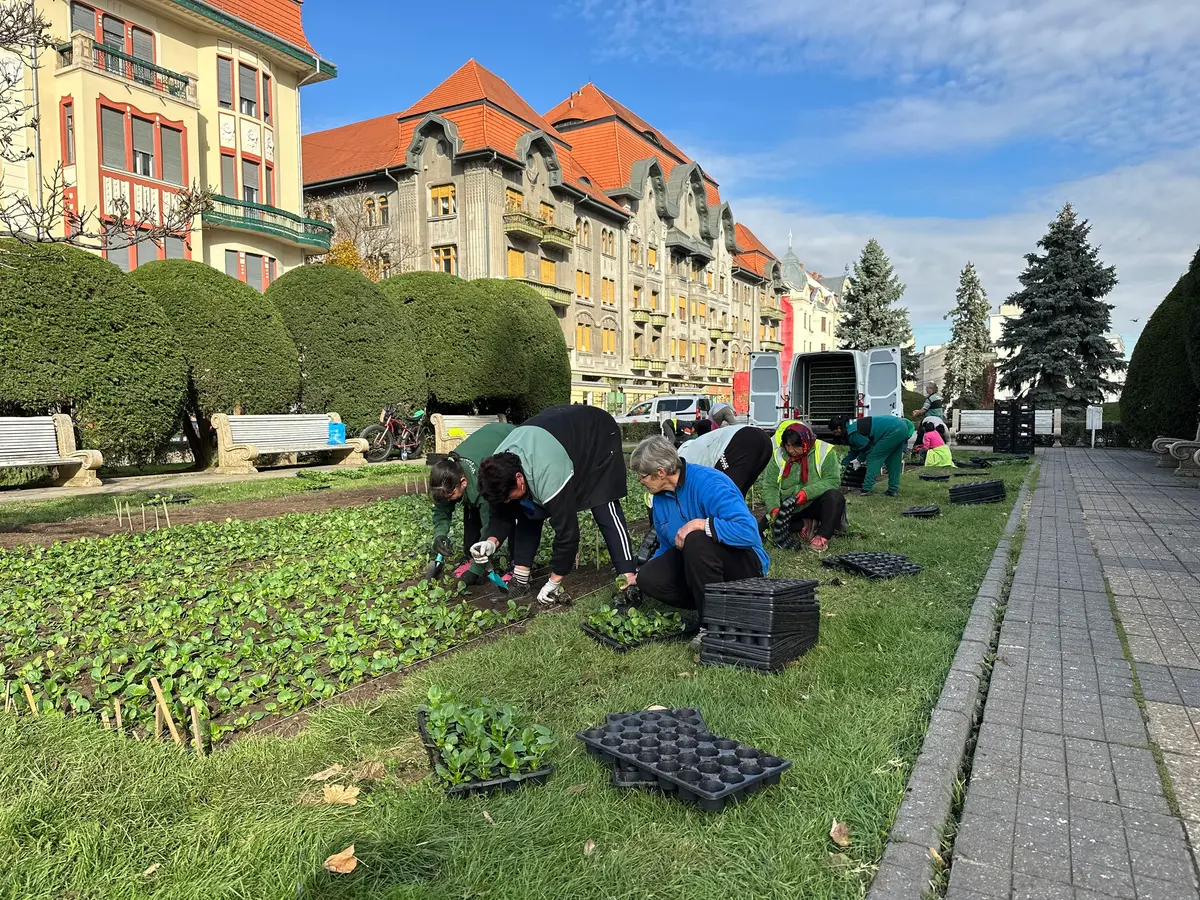 Centrul Timișoarei se pregătește de o nouă explozie de culoare