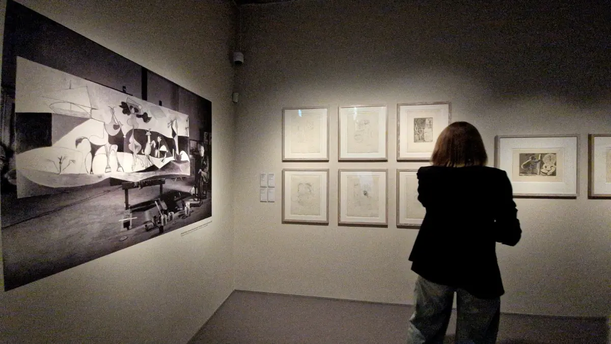 Picasso a ajuns la Timișoara: 69 de lucrări din Musée Picasso, Antibes, expuse în premieră în România