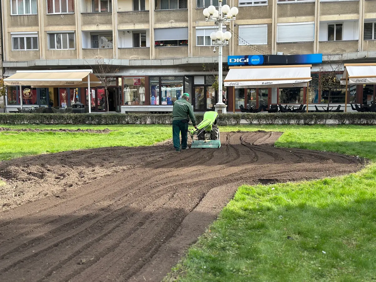 Centrul Timișoarei se pregătește de o nouă explozie de culoare