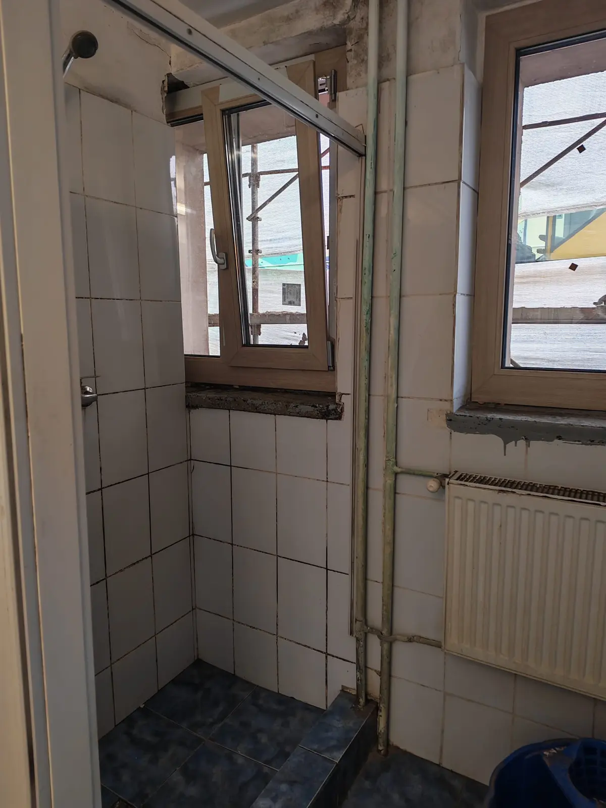 Șobolanii se plimbă pe mese într-un cămin al Universității de Vest din Timișoara. Rectorul Pirtea e ocupat cu alte treburi