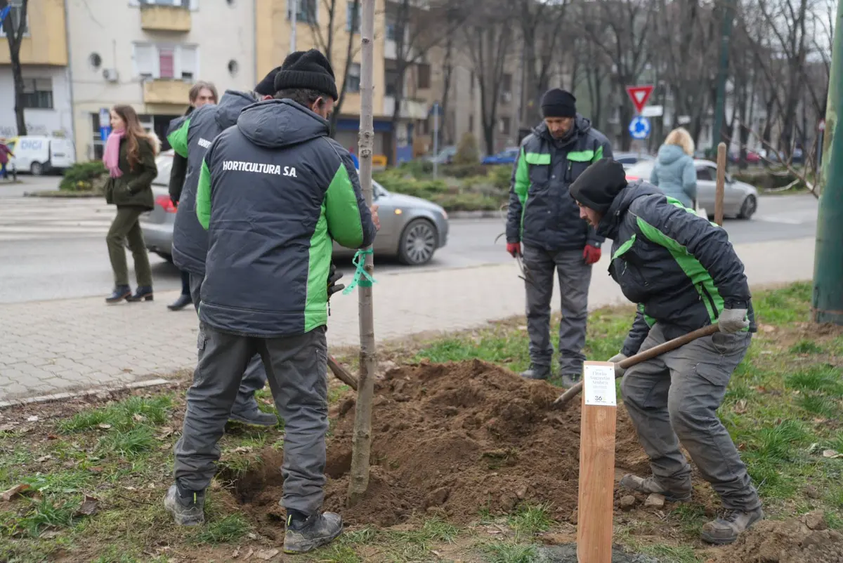 11 arbori memoriali au fost plantați la Timișoara în memoria victimelor Revoluției din 1989
