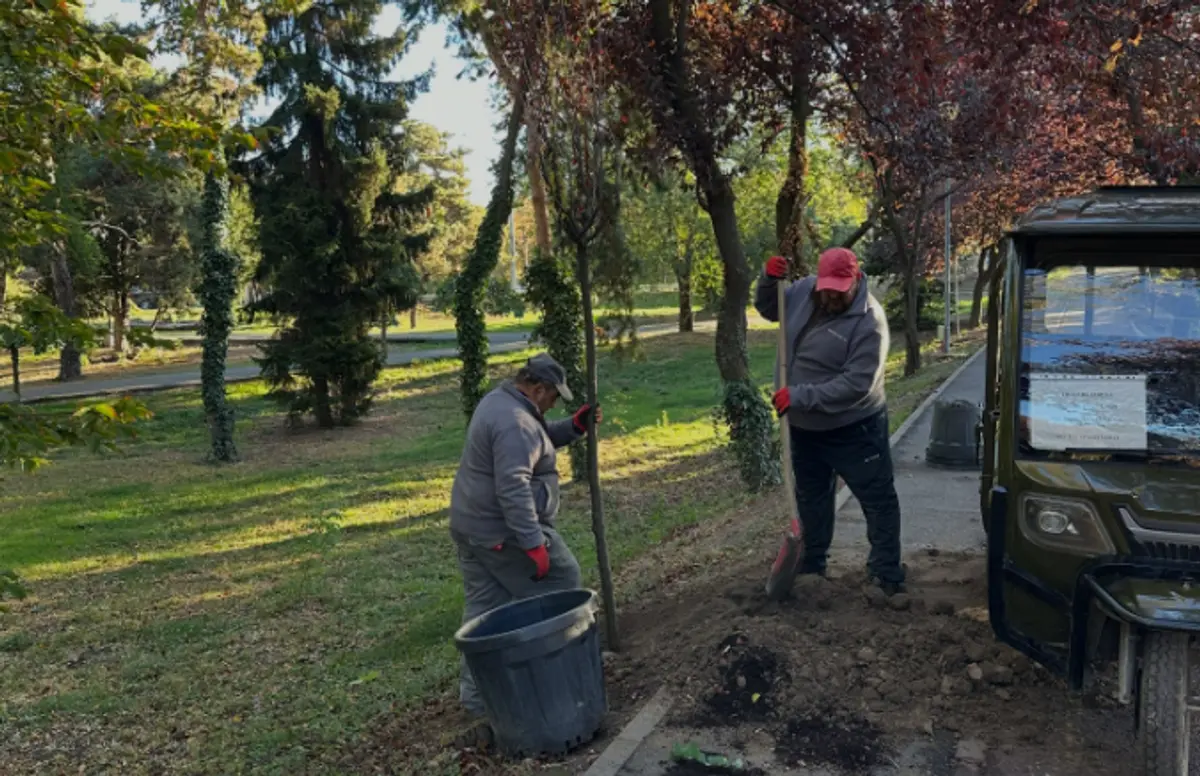 Aleea îndrăgostiților devine și mai frumoasă. Horticultura plantează 22 de arbori noi