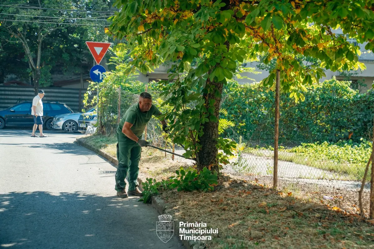 Curățenie generală pe spațiile verzi din zonele Circumvalațiunii și Odobescu