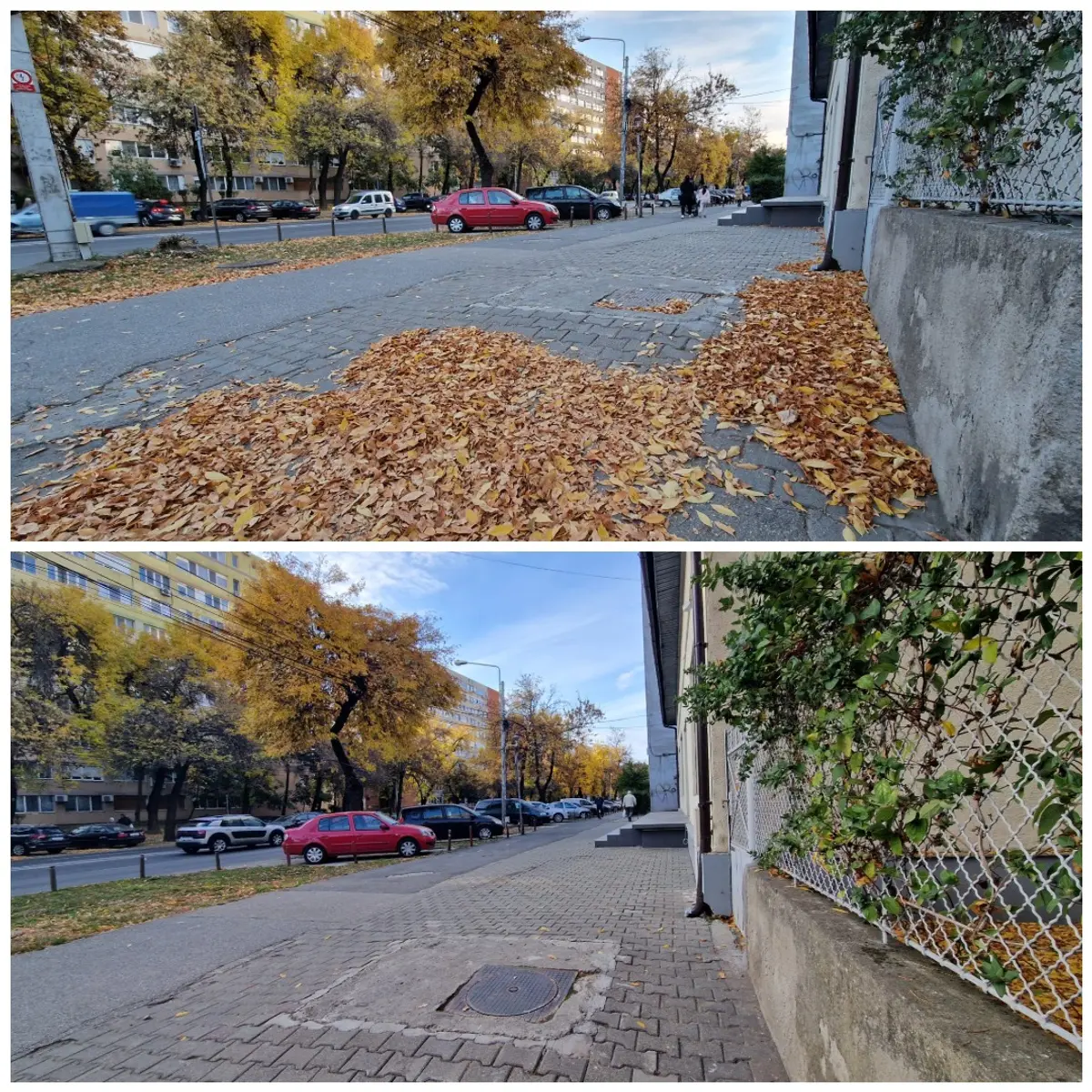 FOTO | Lună și bec în Calea Șagului. SaluT a intensificat acțiunile de curățenie de toamnă