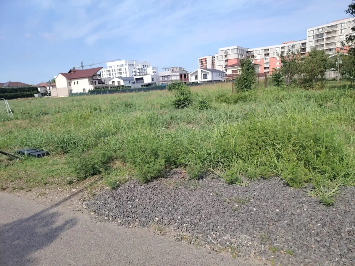 Poliția Locală din Timișoara a dat amenzi de zeci de mii de lei pentru terenurile lăsate ca în junglă
