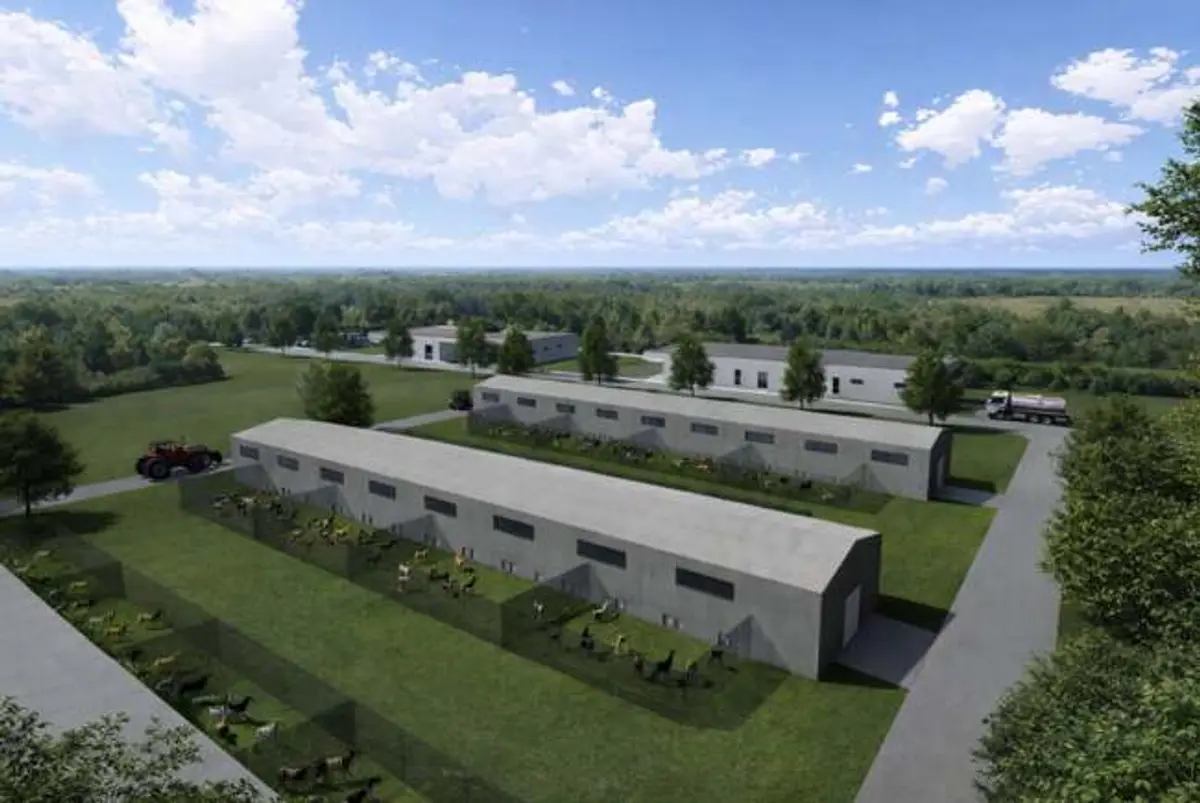 Consiliul Județean Timiș se pregătește să construiască primul său adăpost pentru animale. Investiția este estimată la 20 de milioane de lei