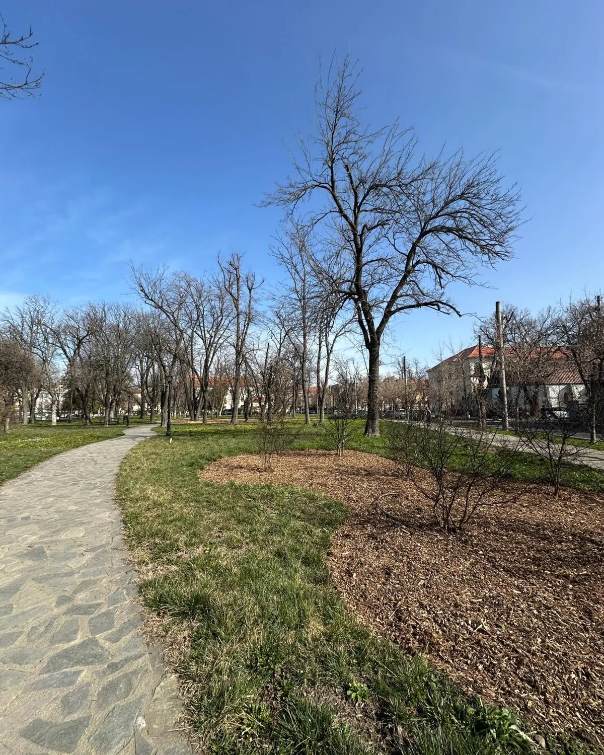 Parcul Cetate din centrul Timișoarei, reamenajat de echipele Horticultura