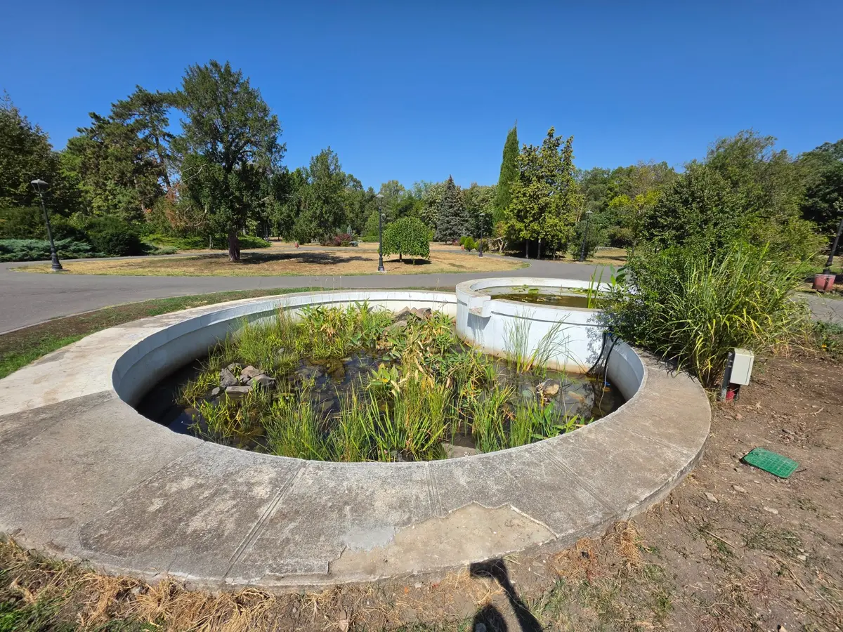 FOTO ȘI VIDEO | Fântâna din Parcul Botanic curge din nou după cel puțin 20 de ani. Bazinele cu plante acvatice au fost reabilitate