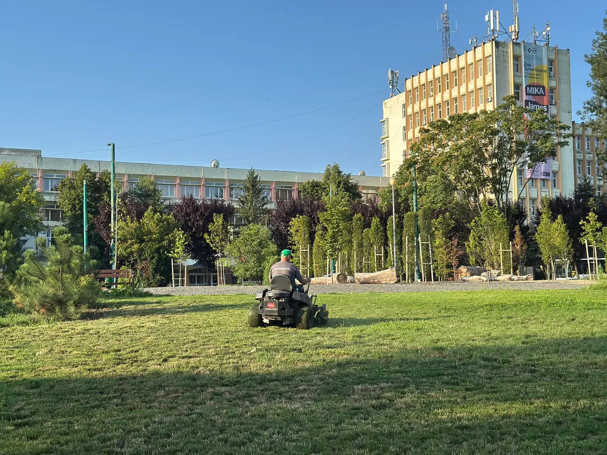Horticultura Timișoara: lucrări extinse de întreținere a spațiilor verzi în zona centrală