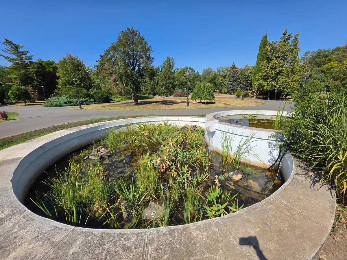Fântâna din Parcul Botanic curge din nou după cel puțin 20 de ani. Bazinele cu plante acvatice au fost reabilitate