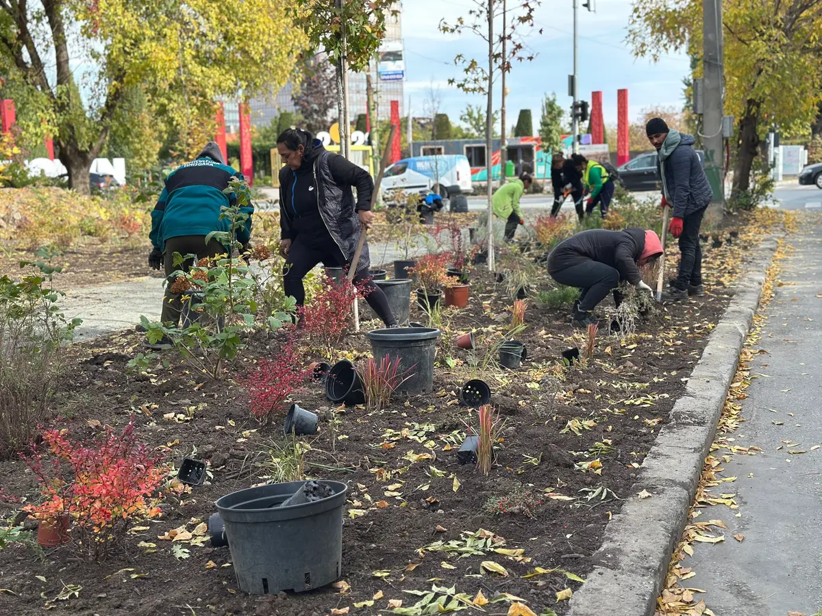 Mini parc și trotuar în locul fostei pizzerii Poli, construită ilegal