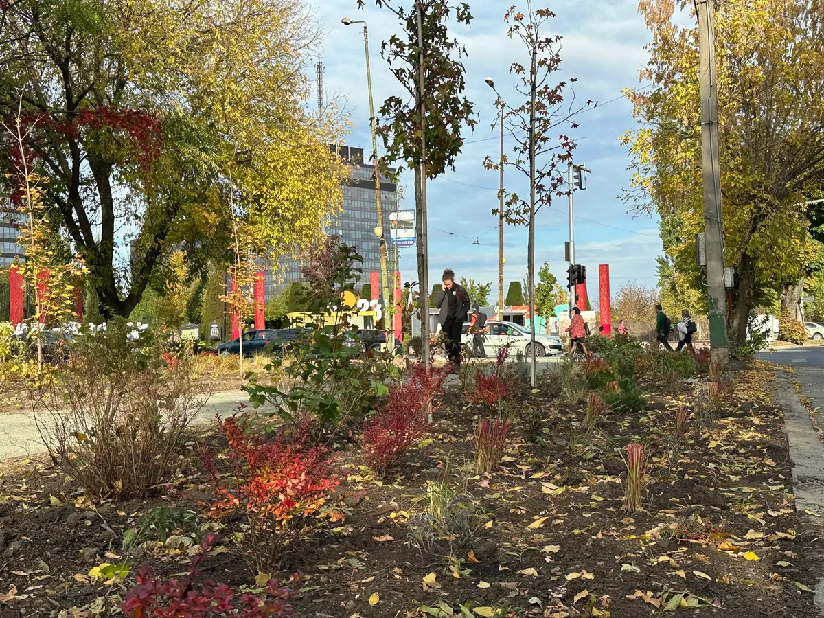 Mini parc și trotuar în locul fostei pizzerii Poli, construită ilegal