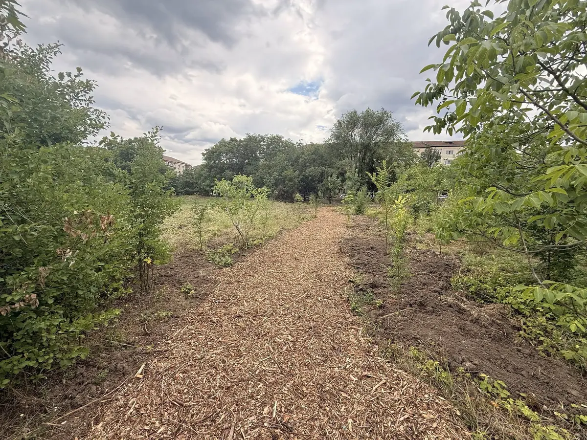 Un teren abandonat din Lipovei a fost transformat în spațiu verde pentru comunitate