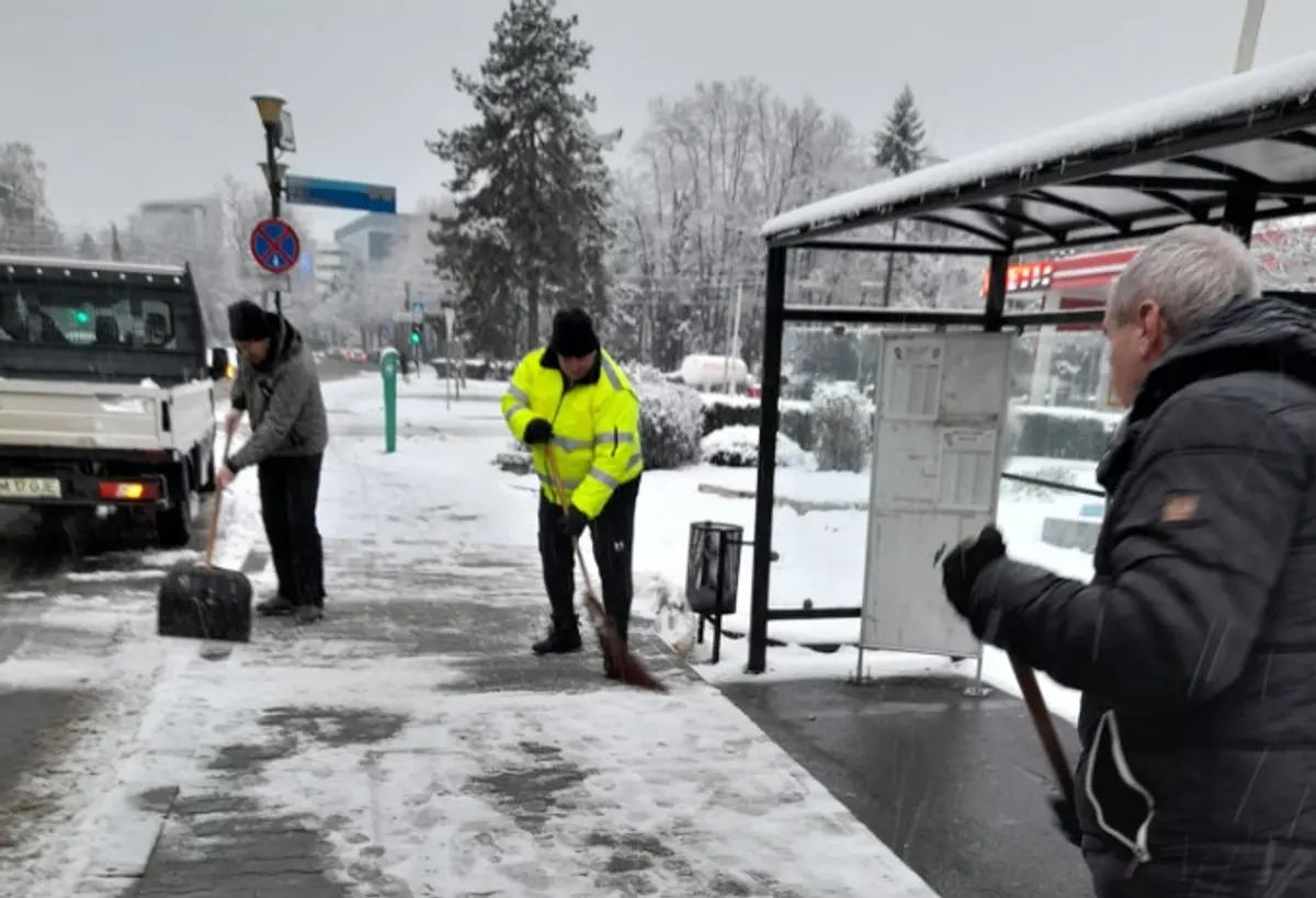 Continuă acțiunile de deszăpezire în Timișoara. SaluT a mobilizat 150 de angajați, STPT - 60