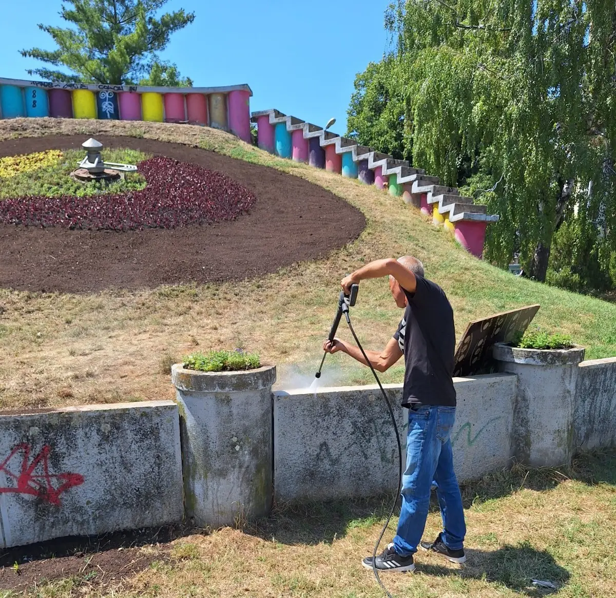 Ceasul floral din Timișoara, reîmprospătat cu mii de flori cultivate local
