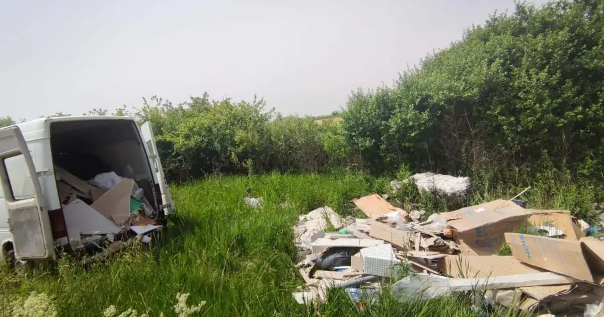 Timișoara curată. Primăria face apel către cetățeni să folosească doar operatori autorizați pentru a scăpa de deșeuri