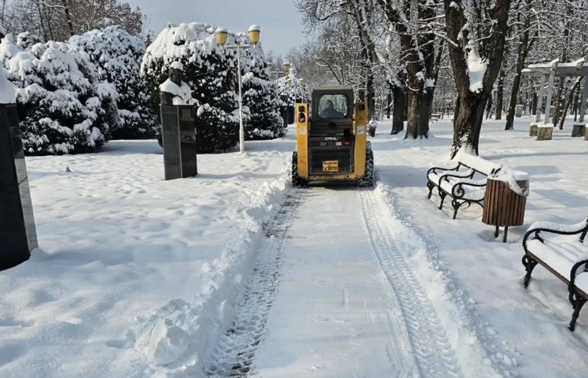 Horticultura Timișoara curăță aleile din principalele parcuri, pentru siguranța pietonilor
