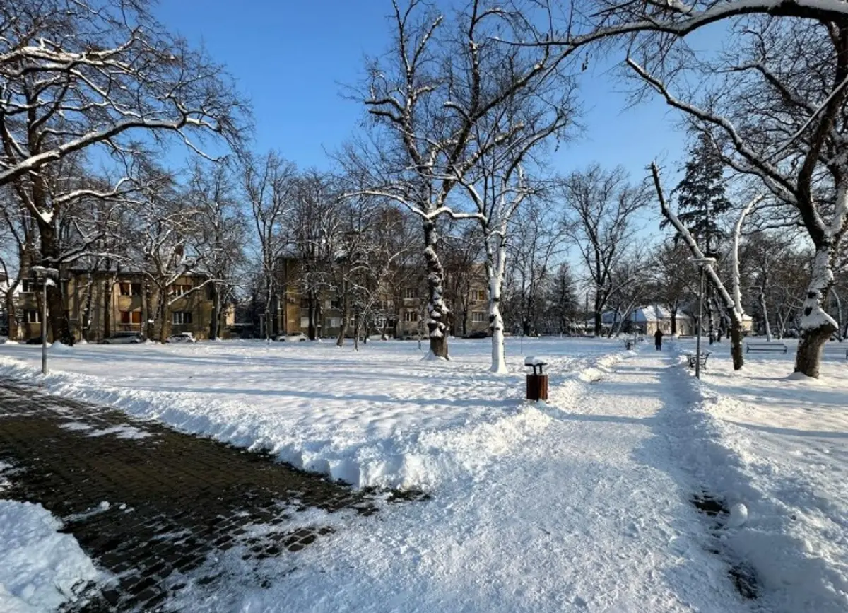 Horticultura Timișoara curăță aleile din principalele parcuri, pentru siguranța pietonilor