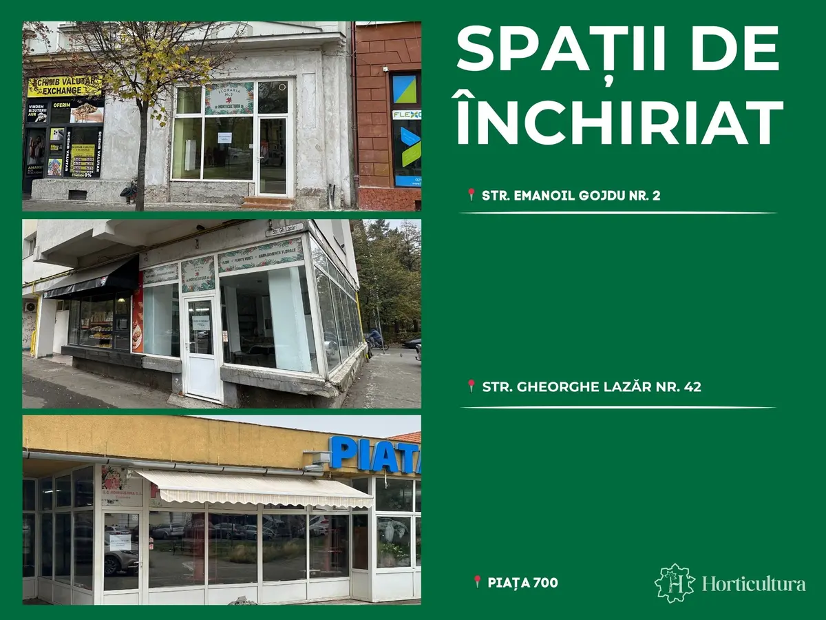 Horticultura scoate la licitație trei spații comerciale în zone cu trafic intens