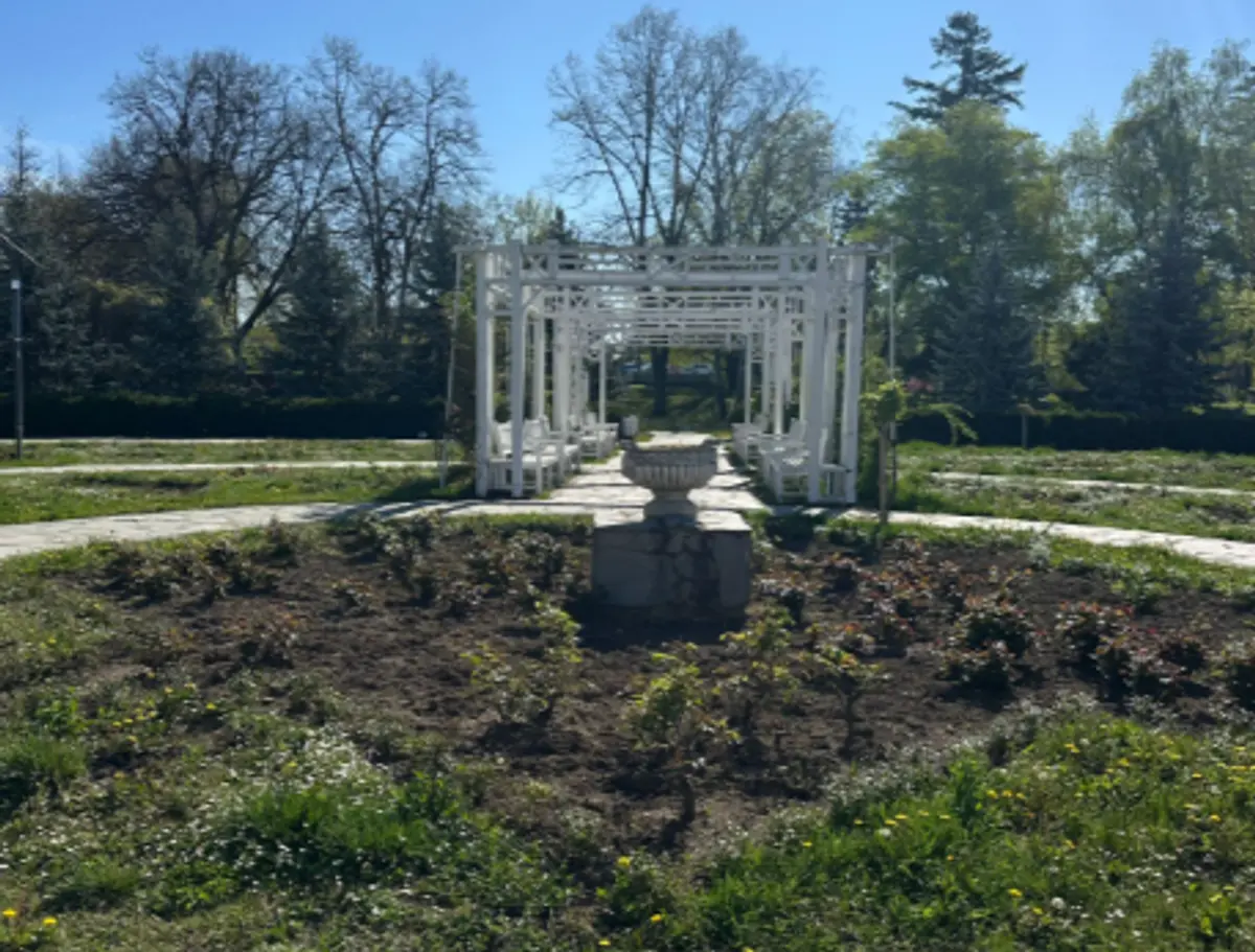 Parcul Rozelor se pregătește să redevină atracția Timișoarei: 2.600 de trandafiri noi și pergole înlocuite