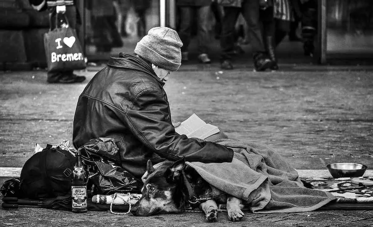 Timișoara marchează Ziua Persoanelor fără Adăpost prin artă și dialog comunitar